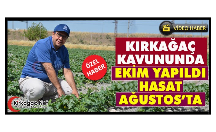 KIRKAĞAÇ KAVUNUNDA EKİM YAPILDI, HASAT AĞUSTOS’TA(ÖZEL HABER)