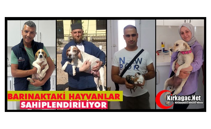 BARINAKTAKİ HAYVANLAR SAHİPLENDİRİLİYOR