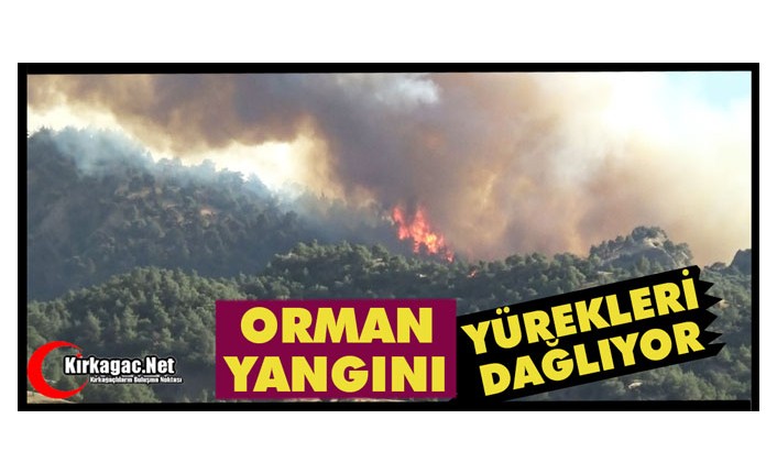 ORMAN YANGINI YÜREKLERİ DAĞLIYOR