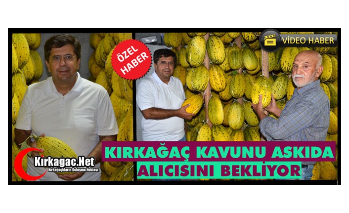 KIRKAĞAÇ KAVUNU ASKIDA ALICISINI BEKLİYOR(ÖZEL HABER)