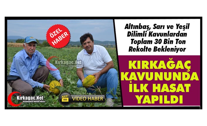 KIRKAĞAÇ KAVUNUNDA İLK HASAT YAPILDI(ÖZEL HABER)