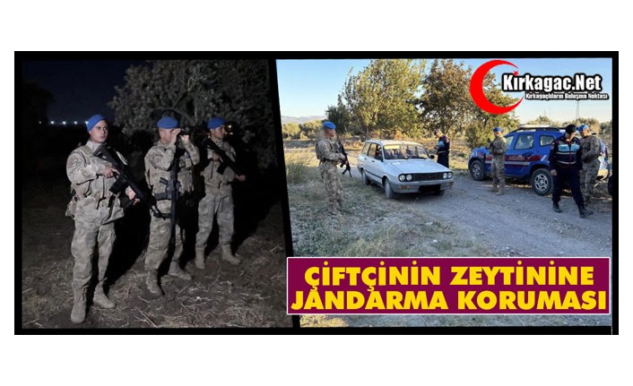 ÇİFTÇİNİN ZEYTİNİNE JANDARMA KORUMASI