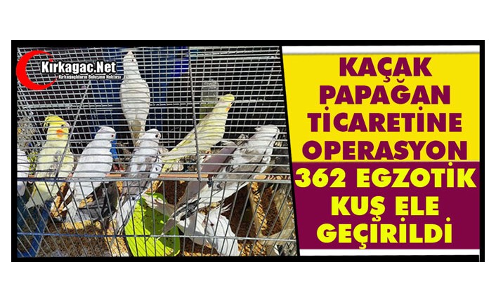 KAÇAK PAPAĞAN TİCARETİNE OPERASYON; 362 EGZOTİK KUŞ ELE GEÇİRİLDİ