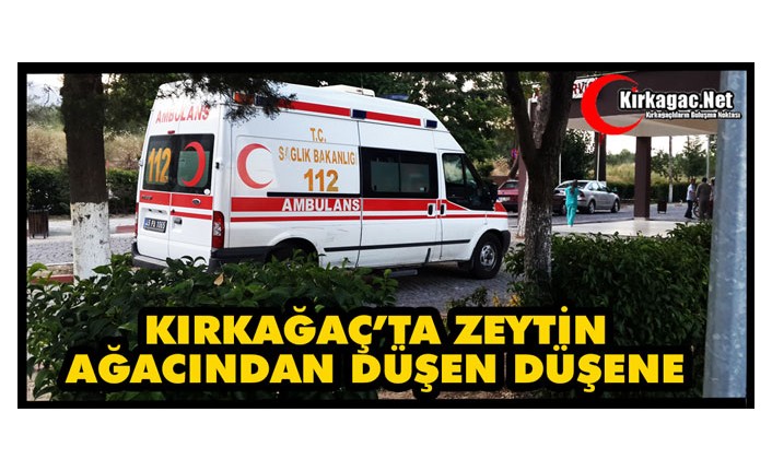 KIRKAĞAÇ’TA ZEYTİN AĞACINDAN DÜŞEN DÜŞENE