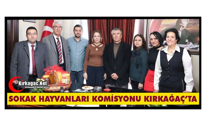 SOKAK HAYVANLARI KOMİSYONU KIRKAĞAÇ’TA