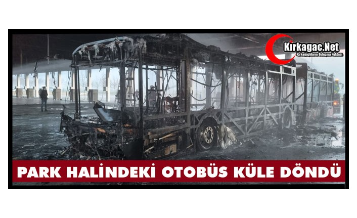 PARK HALİNDEKİ OTOBÜS KÜLE DÖNDÜ