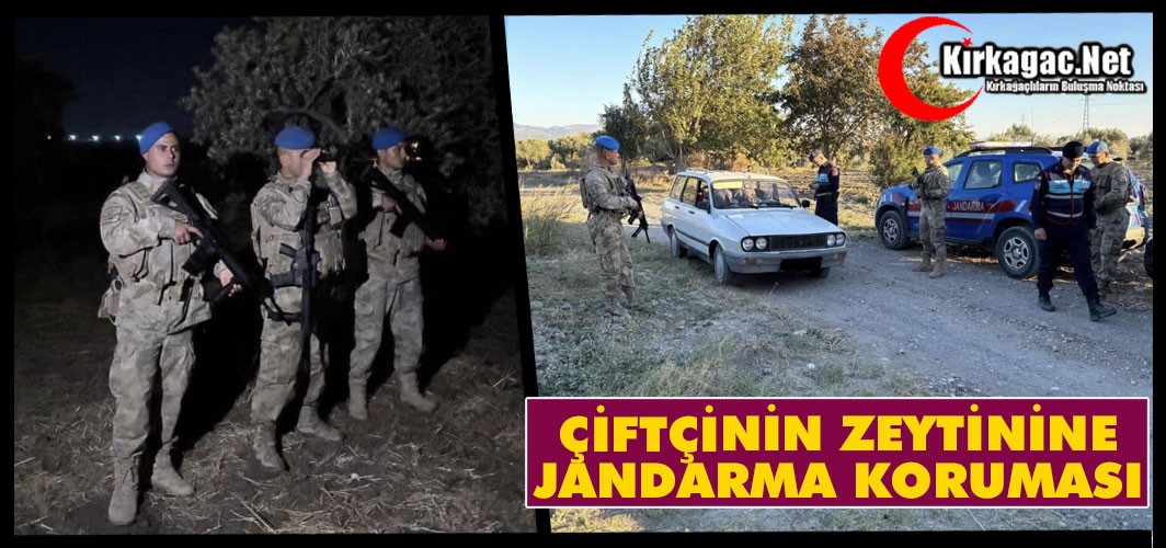 ÇİFTÇİNİN ZEYTİNİNE JANDARMA KORUMASI