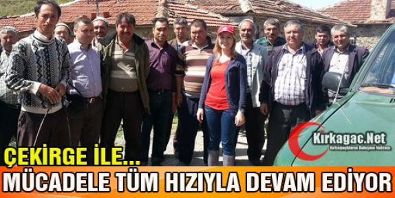 ÇEKİRGE İLE MÜCADELE TÜM HIZIYLA DEVAM EDİYOR