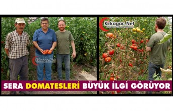 KIRKAĞAÇ’TA SERA DOMATESLERİ BÜYÜK İLGİ GÖRÜYOR