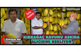 KIRKAĞAÇ KAVUNU ASKIDA ALICISINI BEKLİYOR(ÖZEL...