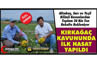 KIRKAĞAÇ KAVUNUNDA İLK HASAT YAPILDI(ÖZEL HABER)