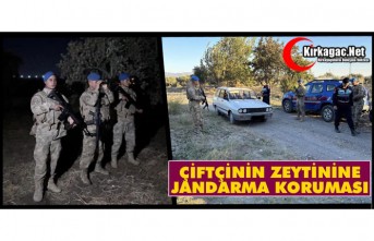 ÇİFTÇİNİN ZEYTİNİNE JANDARMA KORUMASI