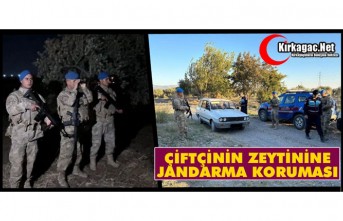 ÇİFTÇİNİN ZEYTİNİNE JANDARMA KORUMASI