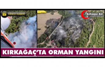 KIRKAĞAÇ’TA ORMAN YANGINI(VİDEO)