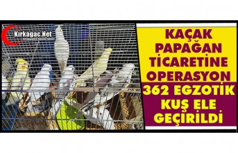 KAÇAK PAPAĞAN TİCARETİNE OPERASYON; 362 EGZOTİK...