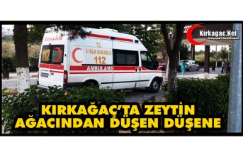 KIRKAĞAÇ’TA ZEYTİN AĞACINDAN DÜŞEN DÜŞENE