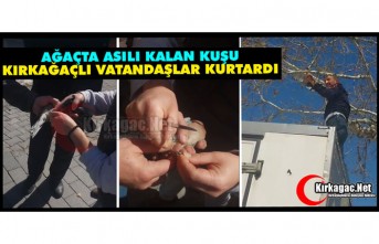 AĞAÇTA ASILI KALAN KUŞUN İMDADINA KIRKAĞAÇLI VATANDAŞLAR YETİŞTİ